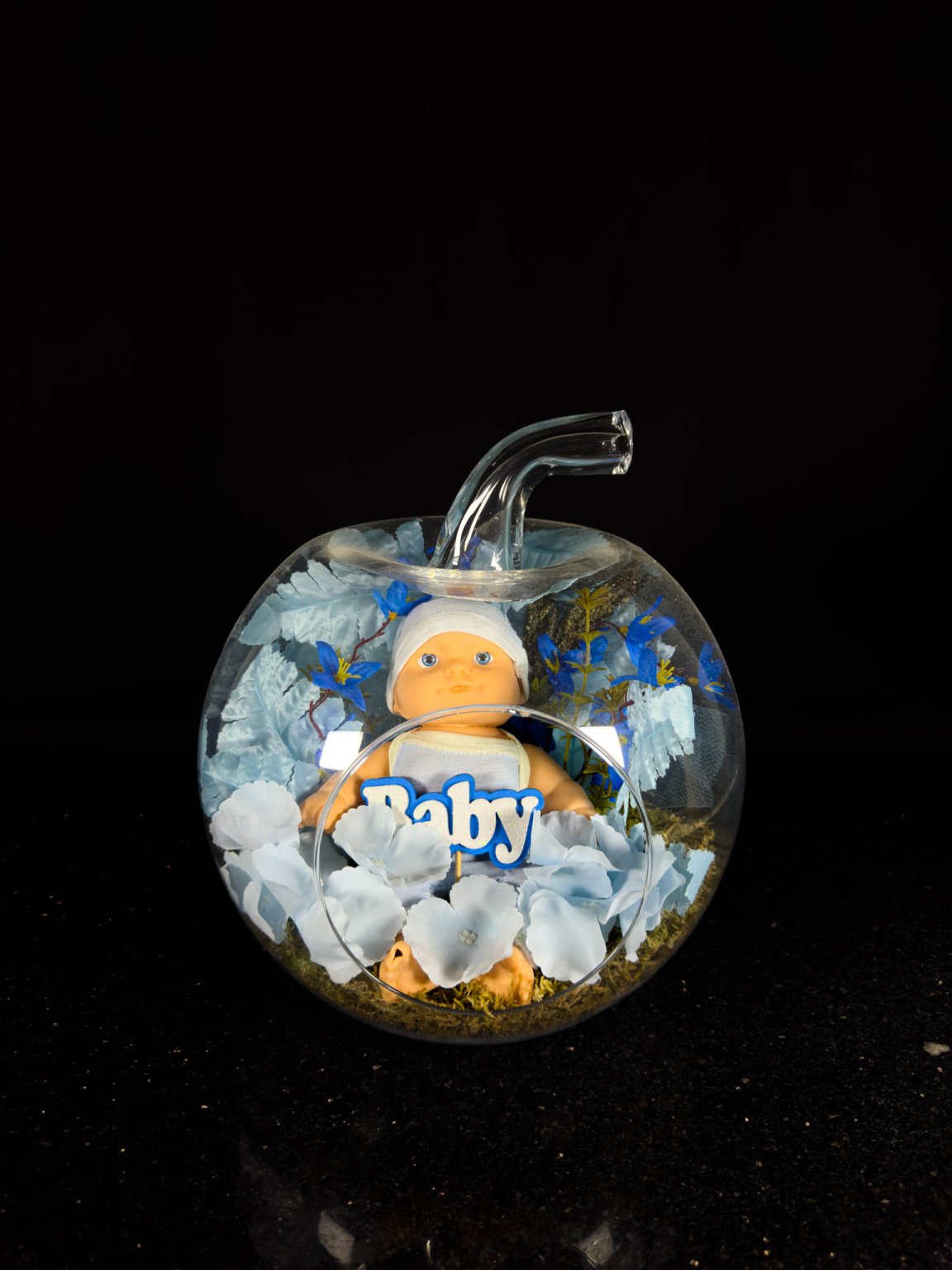 Erkek Bebek Terrarium