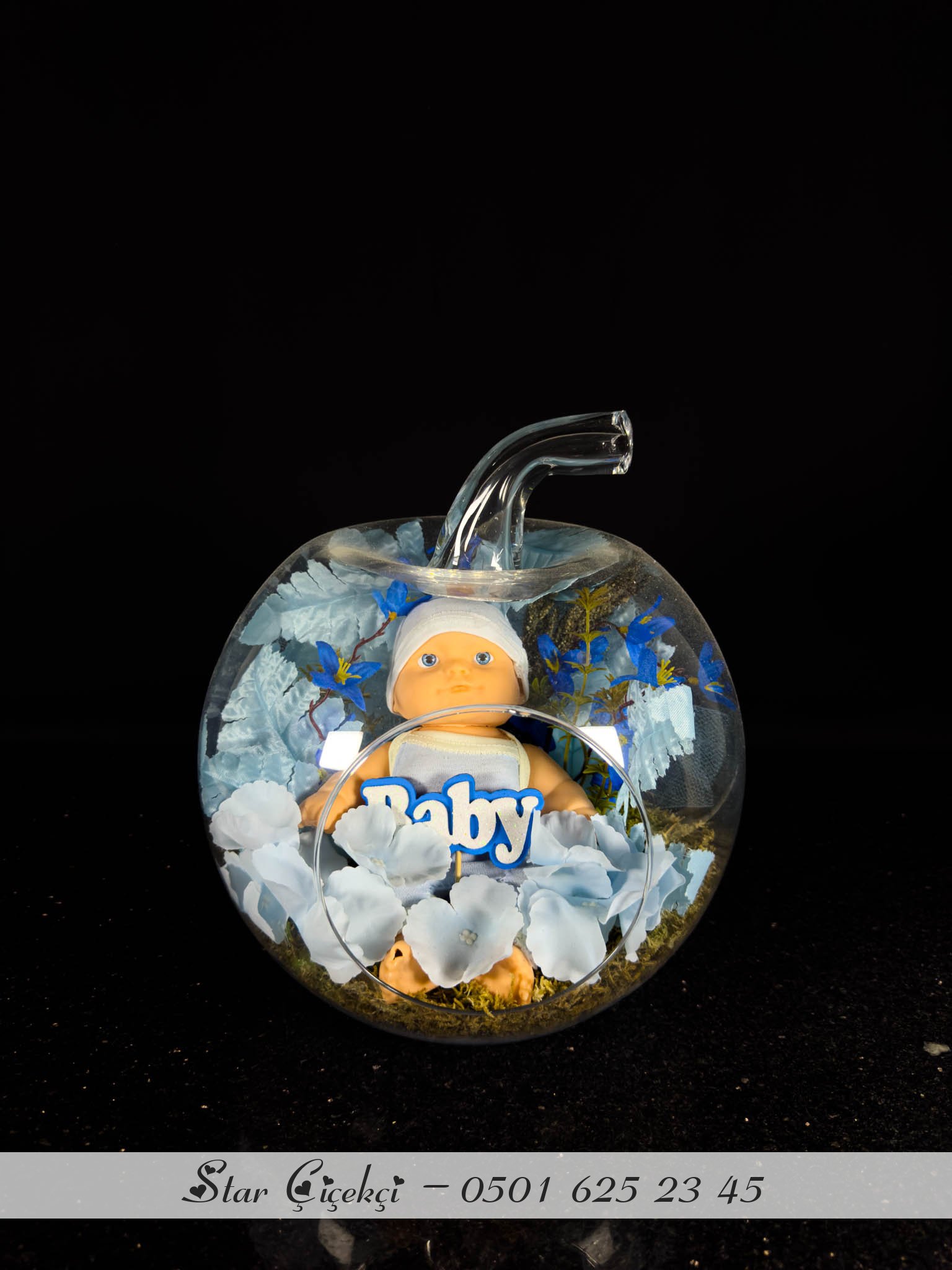 Erkek Bebek Terrarium