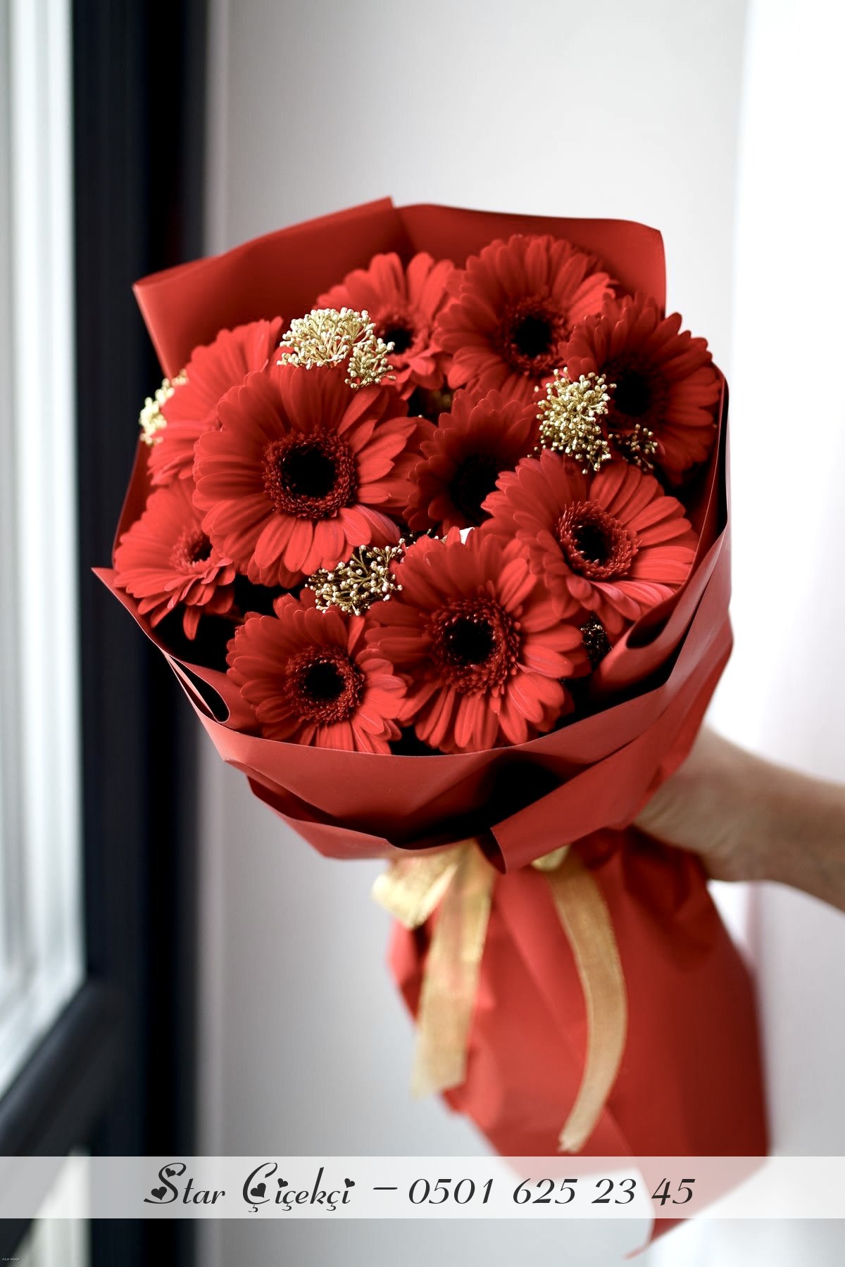 Gerbera Küçük