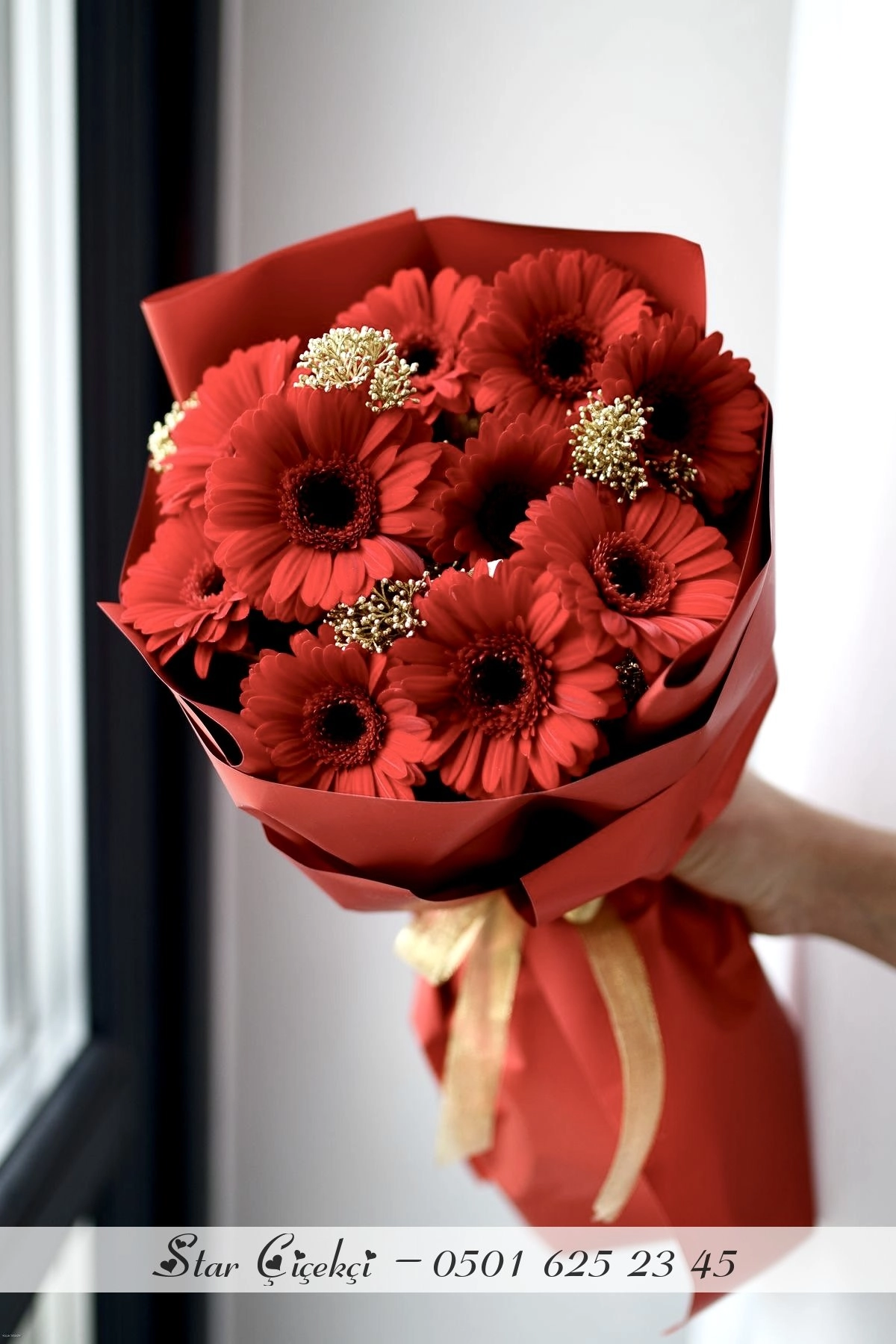 Gerbera Küçük
